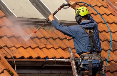 Démoussage et hydrofuge de toiture à Voissant